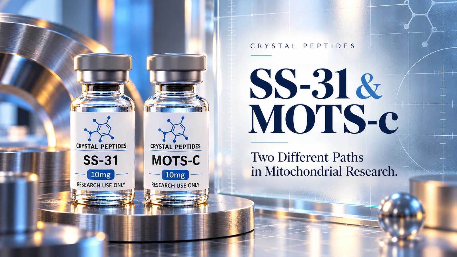 Ilustración editorial del producto: SS-31 / MOTS-c — Crystal Peptides.